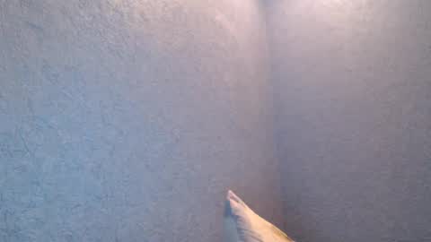 Snapshot of nikayshadow chatting on 02-05-25, 04:47 NikayShadow online show from 02-05-25, 04:47