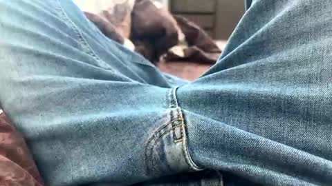 NIk online show from 02-25-25, 10:47