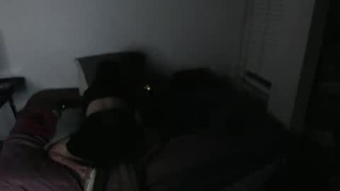 nikkigamer online show from 11-30-25, 11:47