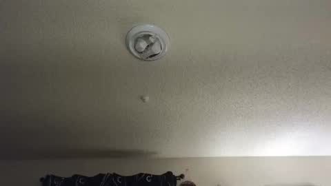 Nikki Mastersgirl1091 online show from 11-27-25, 12:29