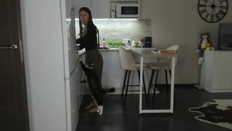 Bella online show from 04-05-26, 10:34