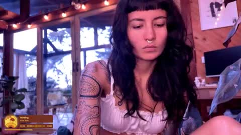 Nina.  online show from 03-01-26, 10:23