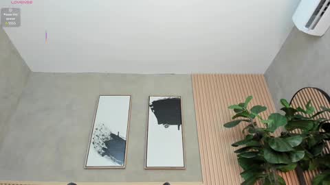 Snapshot of nina_soul chatting on 02-25-25, 06:09 NINA online show from 02-25-25, 06:09