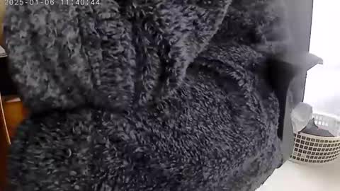 nineinchhard online show from 01-06-25, 11:40