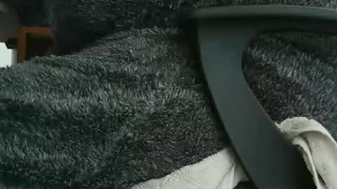 nineinchhard online show from 09-23-25, 09:56