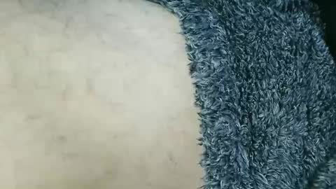 nineinchhard online show from 03-15-26, 02:12