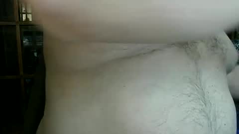 Nip Fun Bear online show from 01-30-25, 10:19