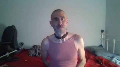 nirevess online show from 12-09-24, 08:23