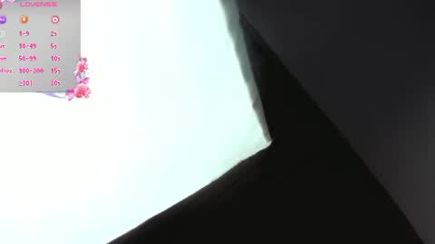 Snapshot of nixiesterling chatting on 07-19-26, 09:07 Nixie online show from 07-19-26, 09:07