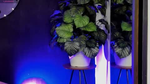 Noah  online show from 03-22-26, 03:21