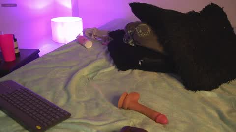 noah_0814 online show from 04-11-26, 07:45