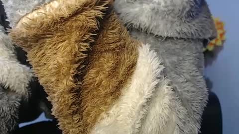 Noah Millers online show from 01-23-25, 07:11