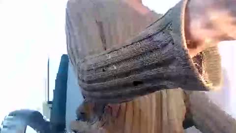 Noah Millers online show from 01-27-25, 10:27