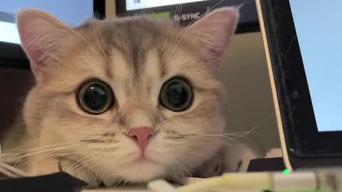 Sun or Luna online show from 04-21-26, 08:23