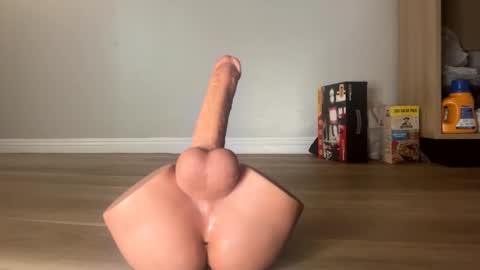 nocturnalhabits online show from 10-26-25, 09:21