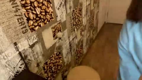 Snapshot of nohemibaerman chatting on 03-22-26, 01:03 Abri online show from 03-22-26, 01:03