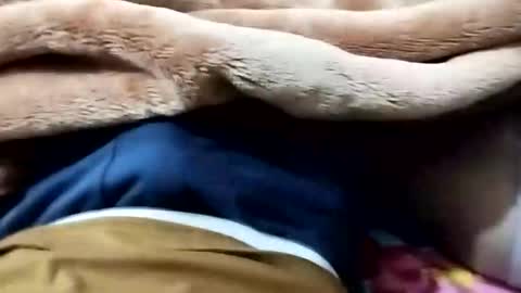 sim  nib online show from 01-12-26, 09:09