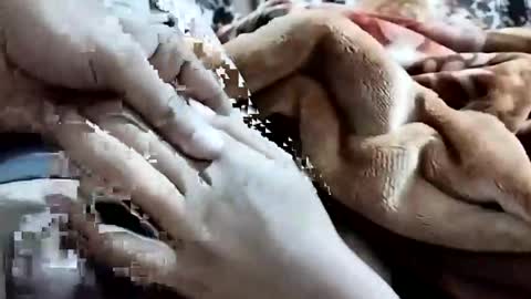 sim  nib online show from 02-01-26, 01:15