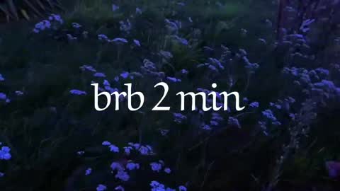 Noori online show from 04-04-26, 10:07