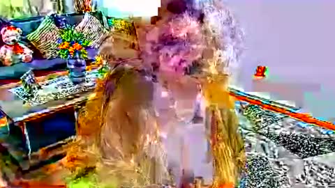 noraj66 online show from 03-23-26, 01:59