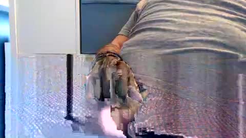 northerndaddy online show from 09-23-25, 09:45