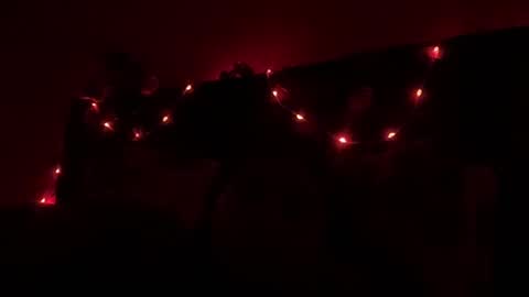 NOVA online show from 10-19-25, 02:45