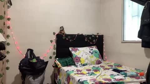 NOVA online show from 10-19-25, 03:34