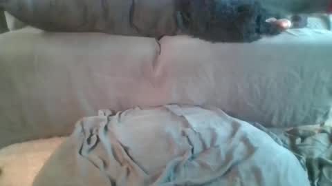 Nova online show from 04-19-26, 06:10