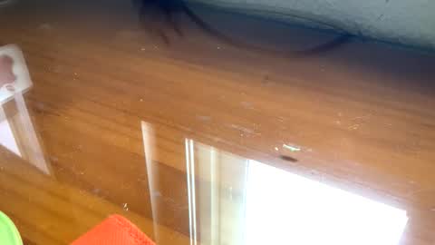 Snapshot of nudistadepilado chatting on 09-13-25, 10:04 nudistadepilado online show from 09-13-25, 10:04