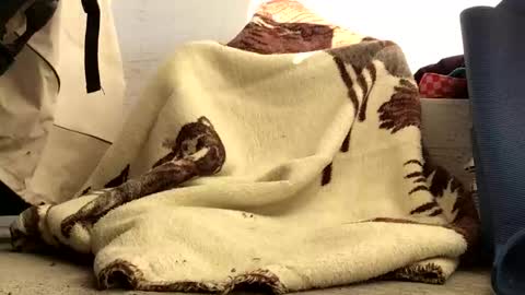 Snapshot of nuevotiempo chatting on 02-23-26, 12:57 nuevotiempo online show from 02-23-26, 12:57