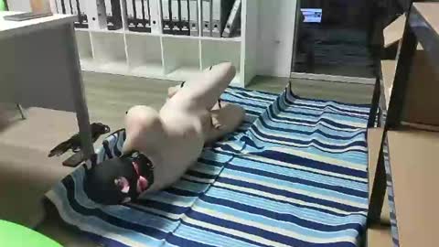 Snapshot of numlove chatting on 02-18-25, 11:33 Slave for Mistress and Master online show from 02-18-25, 11:33