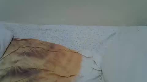 Snapshot of nunu_40 chatting on 02-19-26, 05:42 nunu_40 online show from 02-19-26, 05:42