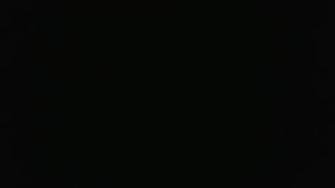 nyr95 online show from 11-08-25, 07:56