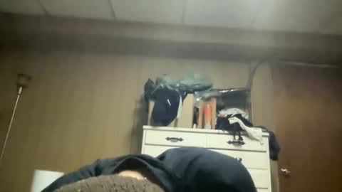 harvestmoon online show from 03-22-26, 05:55