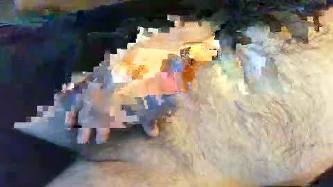 o269x2 online show from 05-30-26, 10:12