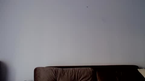 o_r_b_i_t online show from 12-19-24, 01:29