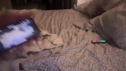 Snapshot of obiwand653040 chatting on 11-04-25, 05:28 obiwand653040 online show from 11-04-25, 05:28