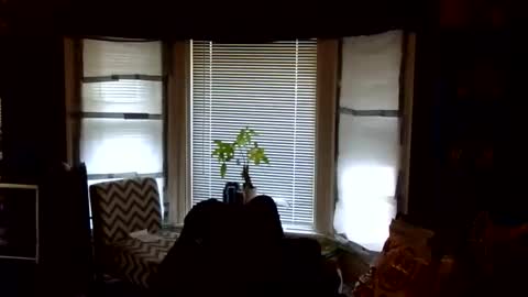 oscar flores online show from 02-24-26, 01:42