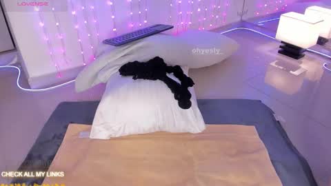 Snapshot of ohyesly_ chatting on 11-11-25, 09:53 ohyesly_ online show from 11-11-25, 09:53