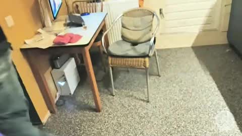 oldersagger online show from 12-05-25, 05:09