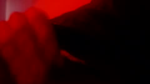 oliveoil67 online show from 02-08-26, 04:32