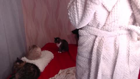 Snapshot of olivia_redd chatting on 12-31-24, 12:32 Olivia online show from 12-31-24, 12:32