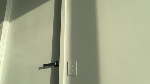 Snapshot of oliviabrookess chatting on 11-17-25, 07:52 Olivia Brookes online show from 11-17-25, 07:52