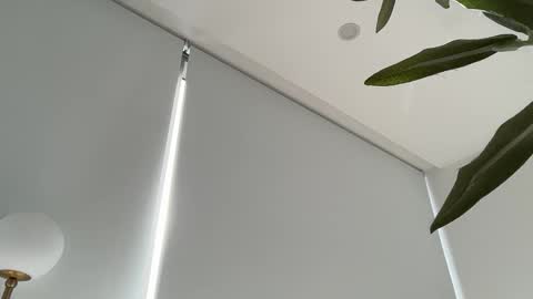 Snapshot of oliviabrookess chatting on 11-27-25, 08:44 Olivia Brookes online show from 11-27-25, 08:44