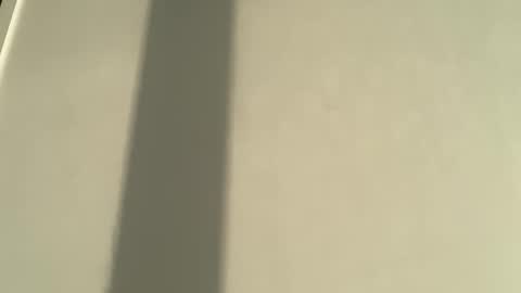 Olivia Brookes online show from 01-08-26, 08:00