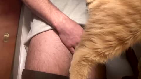 Snapshot of onedayonedollar chatting on 02-25-25, 12:34 onedayonedollar online show from 02-25-25, 12:34