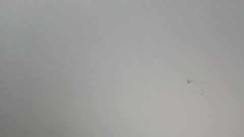 oooxxxrrr online show from 01-12-26, 11:10