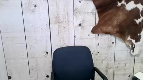 Snapshot of openmindedcowboy chatting on 02-22-25, 11:35 kinkynerd online show from 02-22-25, 11:35