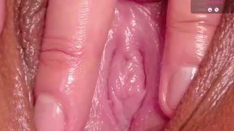 orchidekitty online show from 07-17-26, 11:53