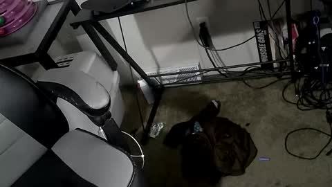 orgasmgiver9090 online show from 03-20-26, 07:52